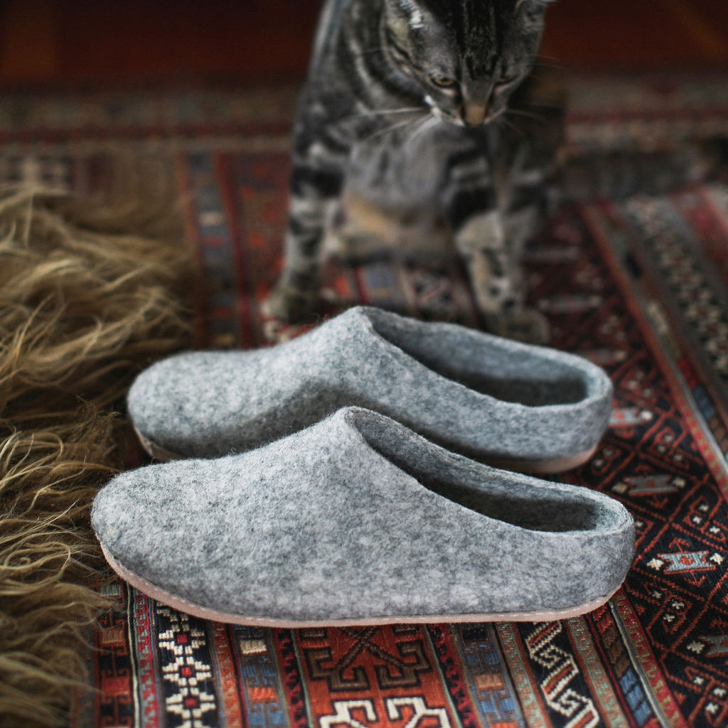 cute cat looking at cozy wool slippers